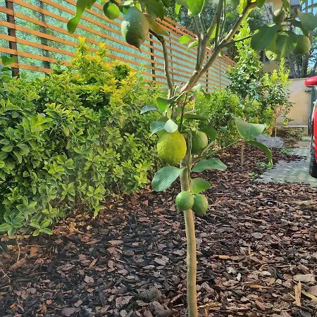 Апартаменты Pigneto Giardino E Posto Auto Privati Рим